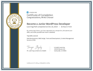 Junior WordPress Developer